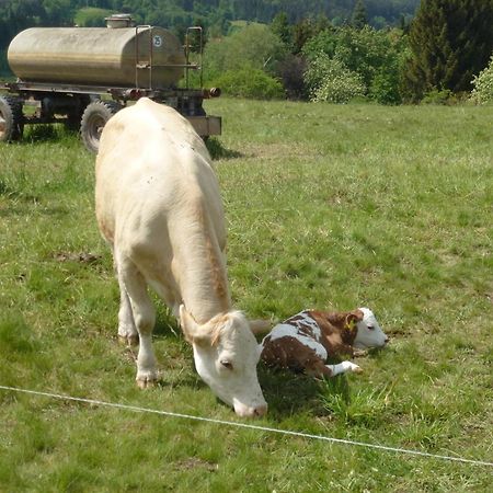 Ferienwohnung Bradatsch Catterfeld Екстер'єр фото